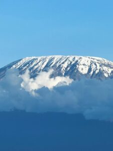amboseli pek